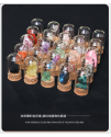 天然水晶 兒童 原石許願瓶 原石礦石 標本 25個礦石標本套裝 水晶石套裝